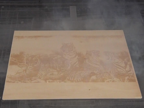 工業(yè)級(jí) CO2 木版印刷激光打標(biāo)機(jī)