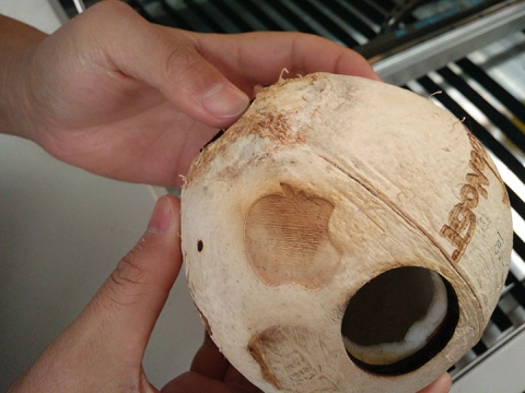 CO2 用于椰子殼雕刻和切割的激光切割機