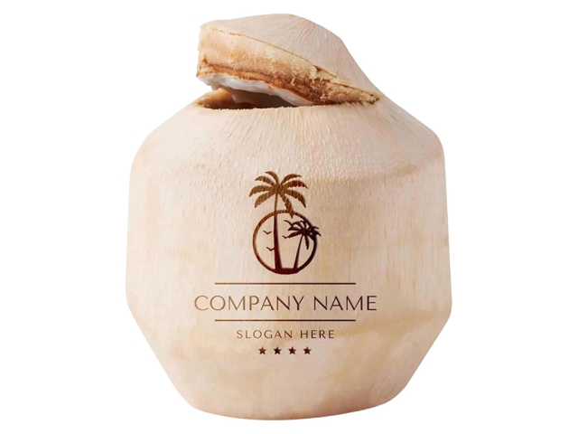 CO2 激光打標機在新鮮椰子上 DIY 定制徽標