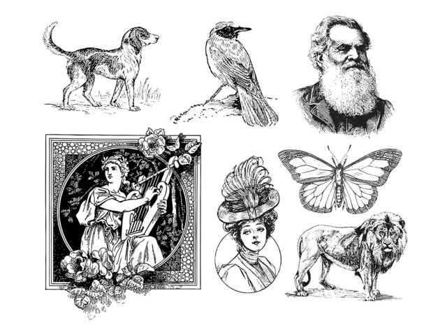 免費 2D/3D激光蝕刻機的激光雕刻矢量文件 免費 2D/3D激光蝕刻機的激光雕刻矢量文件